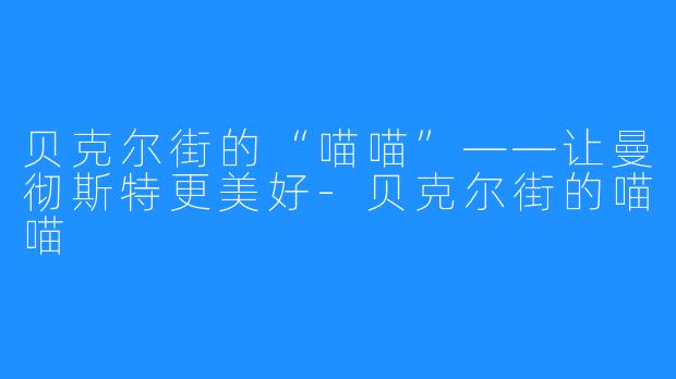 贝克尔街的“喵喵”——让曼彻斯特更美好-贝克尔街的喵喵