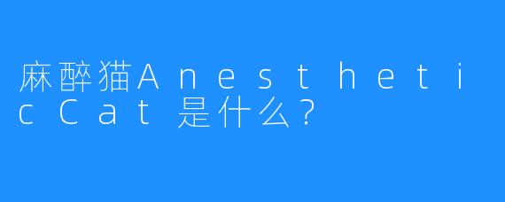 麻醉猫AnestheticCat是什么？