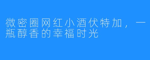 微密圈网红小酒伏特加，一瓶醇香的幸福时光