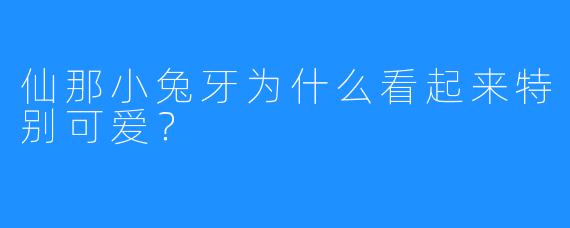 仙那小兔牙为什么看起来特别可爱？