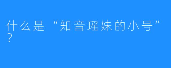 什么是“知音瑶妹的小号”？