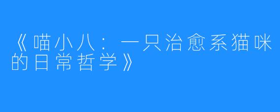 《喵小八:一只治愈系猫咪的日常哲学》