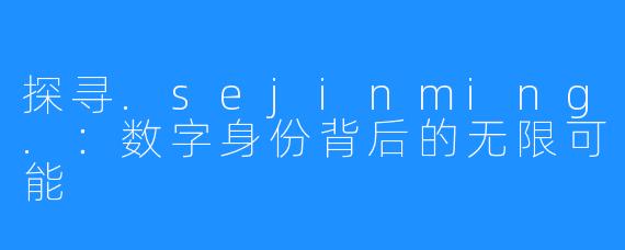 探寻.sejinming.:数字身份背后的无限可能