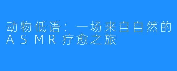 动物低语：一场来自自然的ASMR疗愈之旅