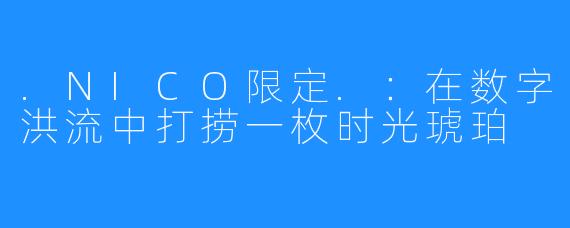 .NICO限定.：在数字洪流中打捞一枚时光琥珀