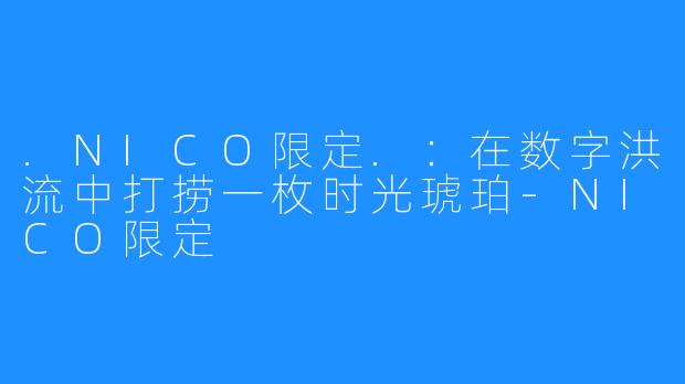 .NICO限定.：在数字洪流中打捞一枚时光琥珀-NICO限定