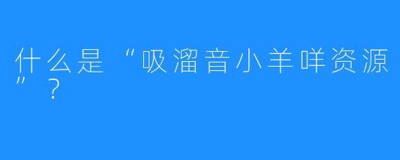 什么是“吸溜音小羊咩资源”?