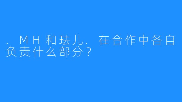 .MH和珐儿.在合作中各自负责什么部分？